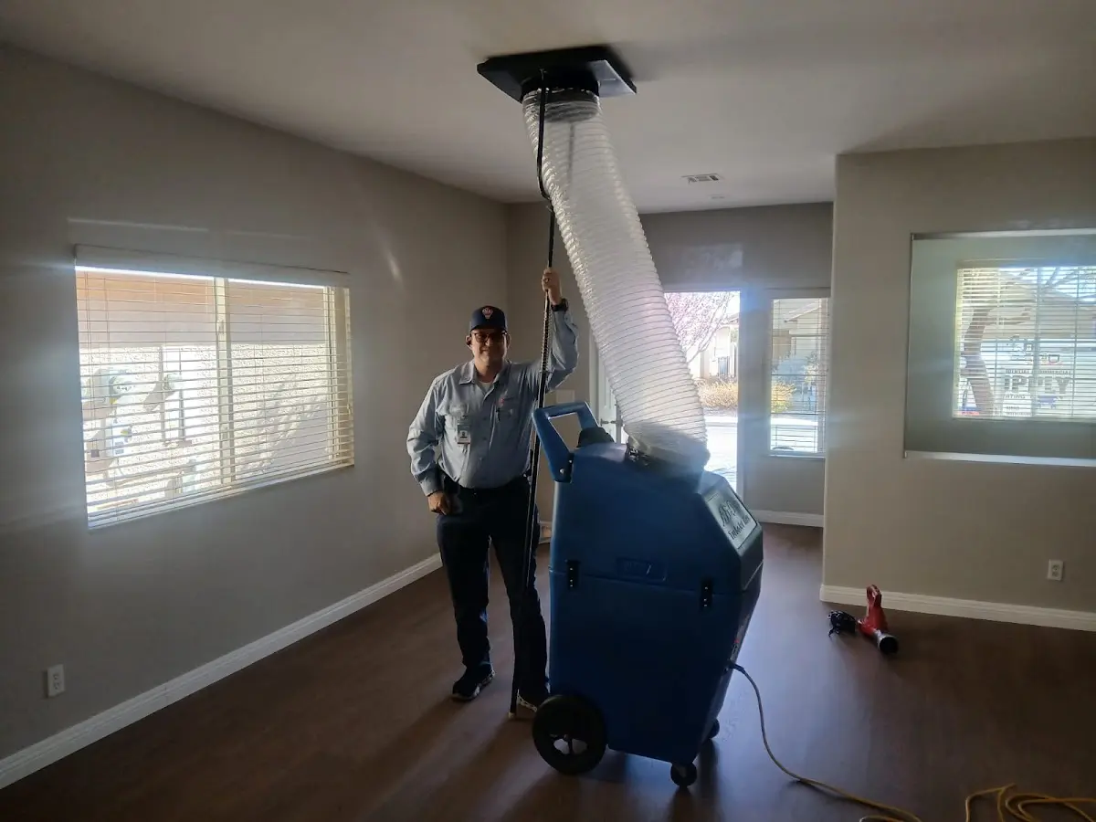 Professional Dryer Vent Cleaning work inside a Humble home